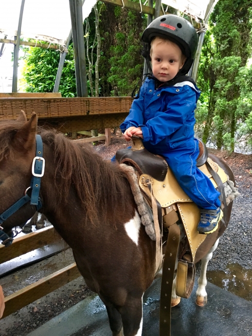 First Pony Ride