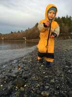 Throwing Rocks