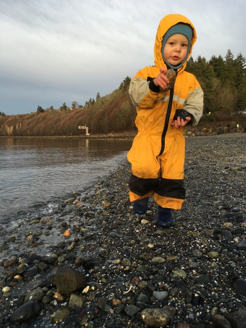 Throwing Rocks