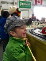 Model train show