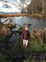 Golden Gardens