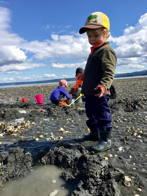 Clam Digging