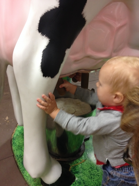 Milking Cow