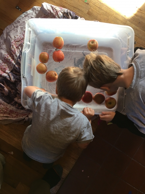 Bobbing for Apples
