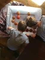 Bobbing for Apples