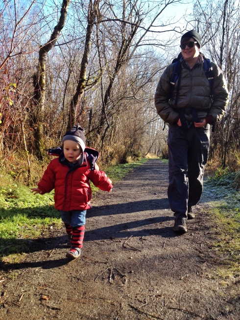 Mercer Slough