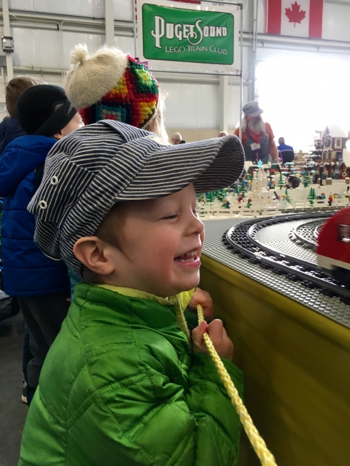 Model train show