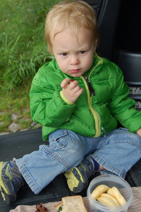 Pensive Berries