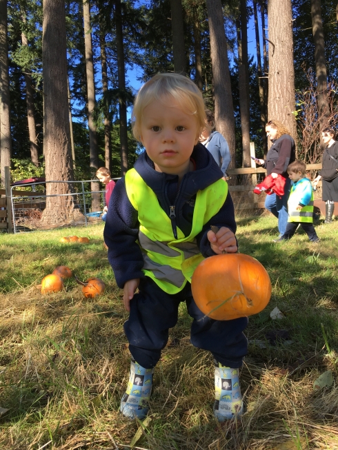 Picking out the pumpkin