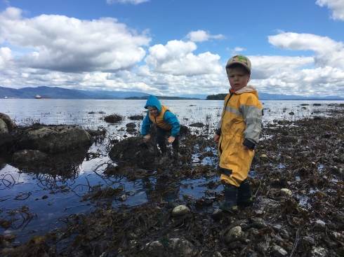 Exploring Beach at Guemes Island