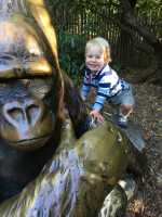 Little Ape