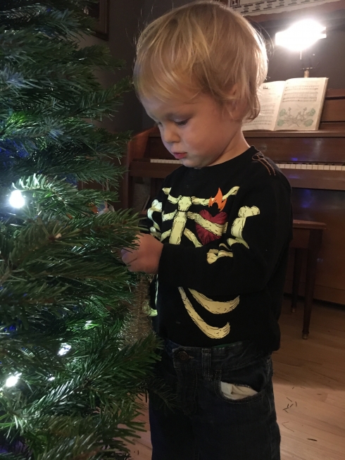 Tree Trimming