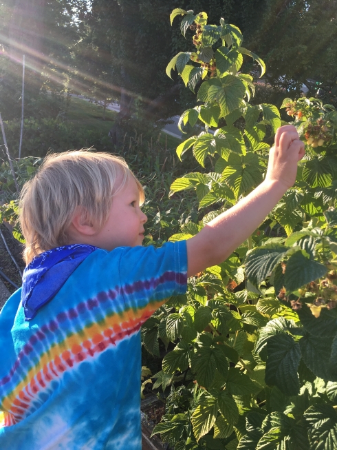 Rainbow Berry Boy