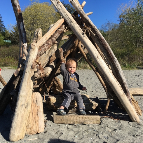 Driftwood Fort