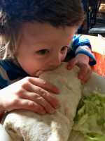 GORDITOS