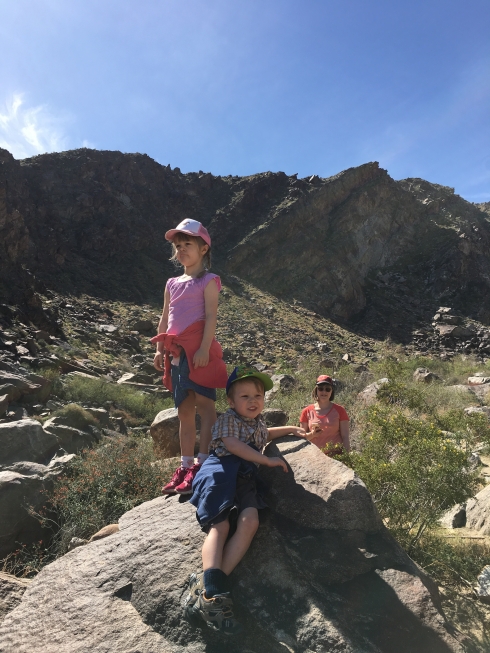 Palm Desert Trail