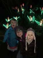 Garden D’Lights